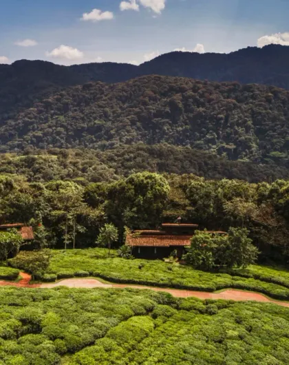 One&Only Nyungwe House
